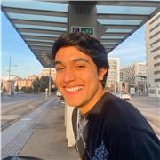 Profesor en ciencia política y ciencias sociales